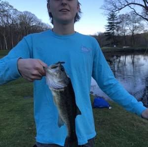 Meet your Posher, Gavin